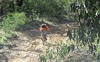 20-MTBing looks fun!